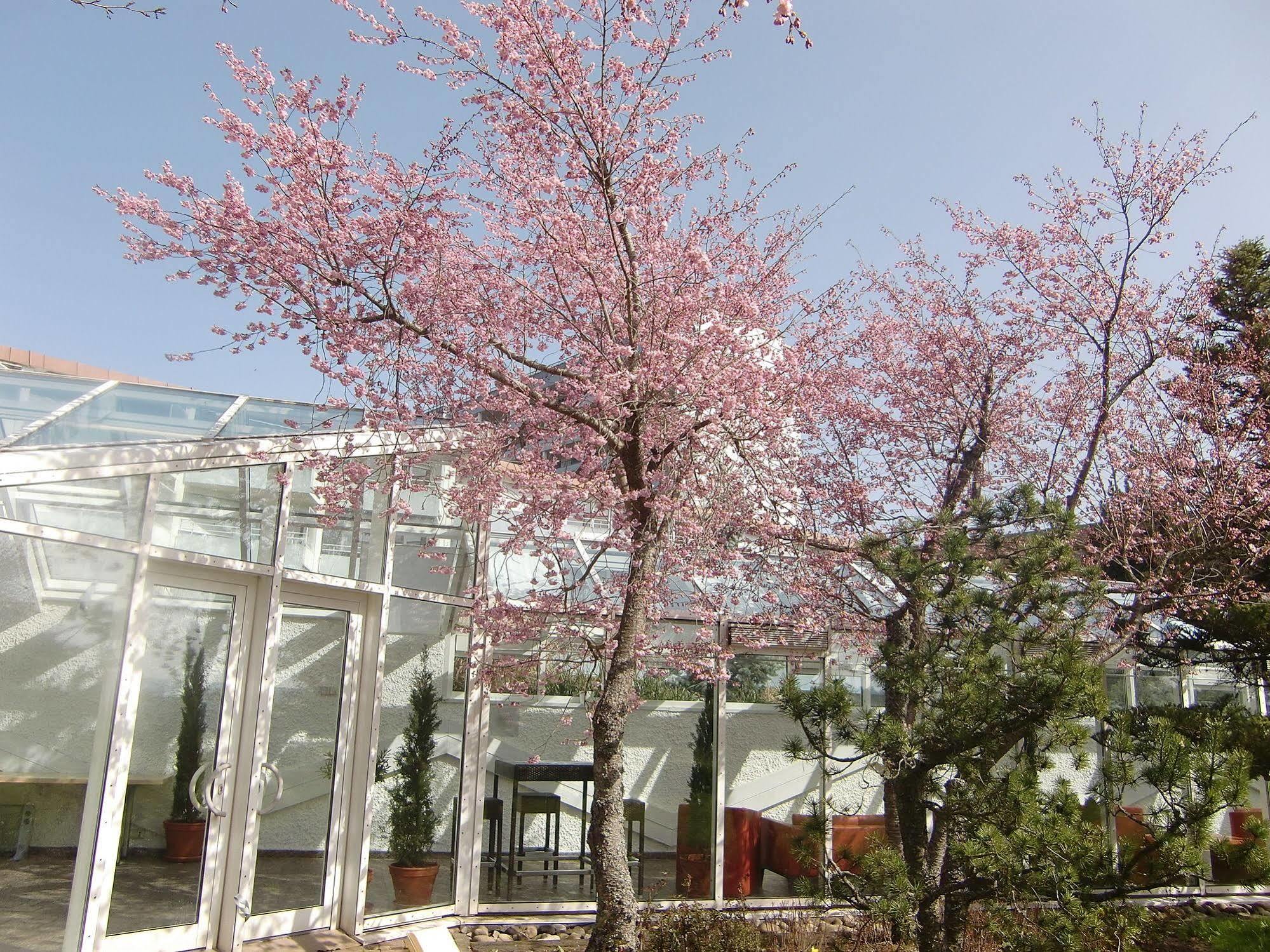 Dekra Congresshotel Wart Altensteig Εξωτερικό φωτογραφία
